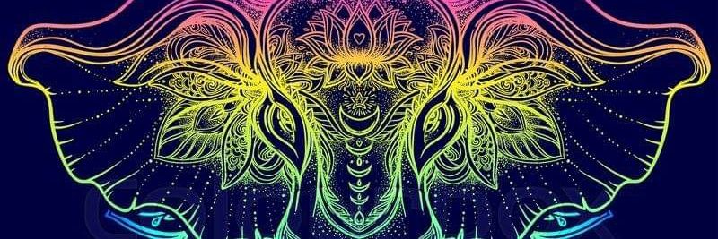 er_suneil's profile banner image