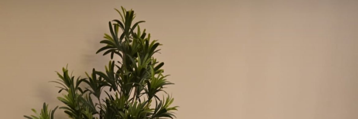 ENG_008's profile banner image