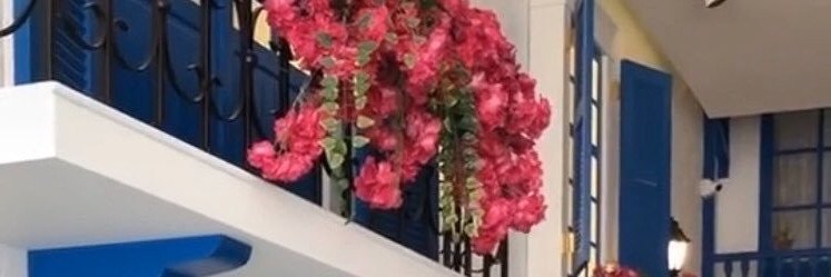 dodo55655's profile banner image
