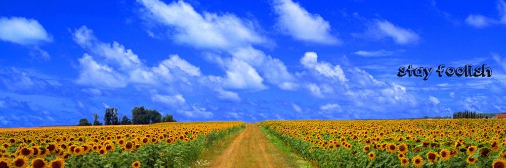 井沢ひろし banner