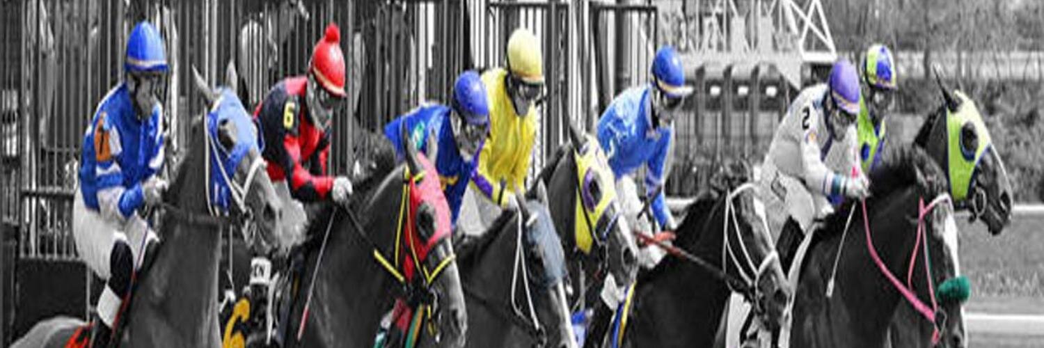 Laurie Ross banner