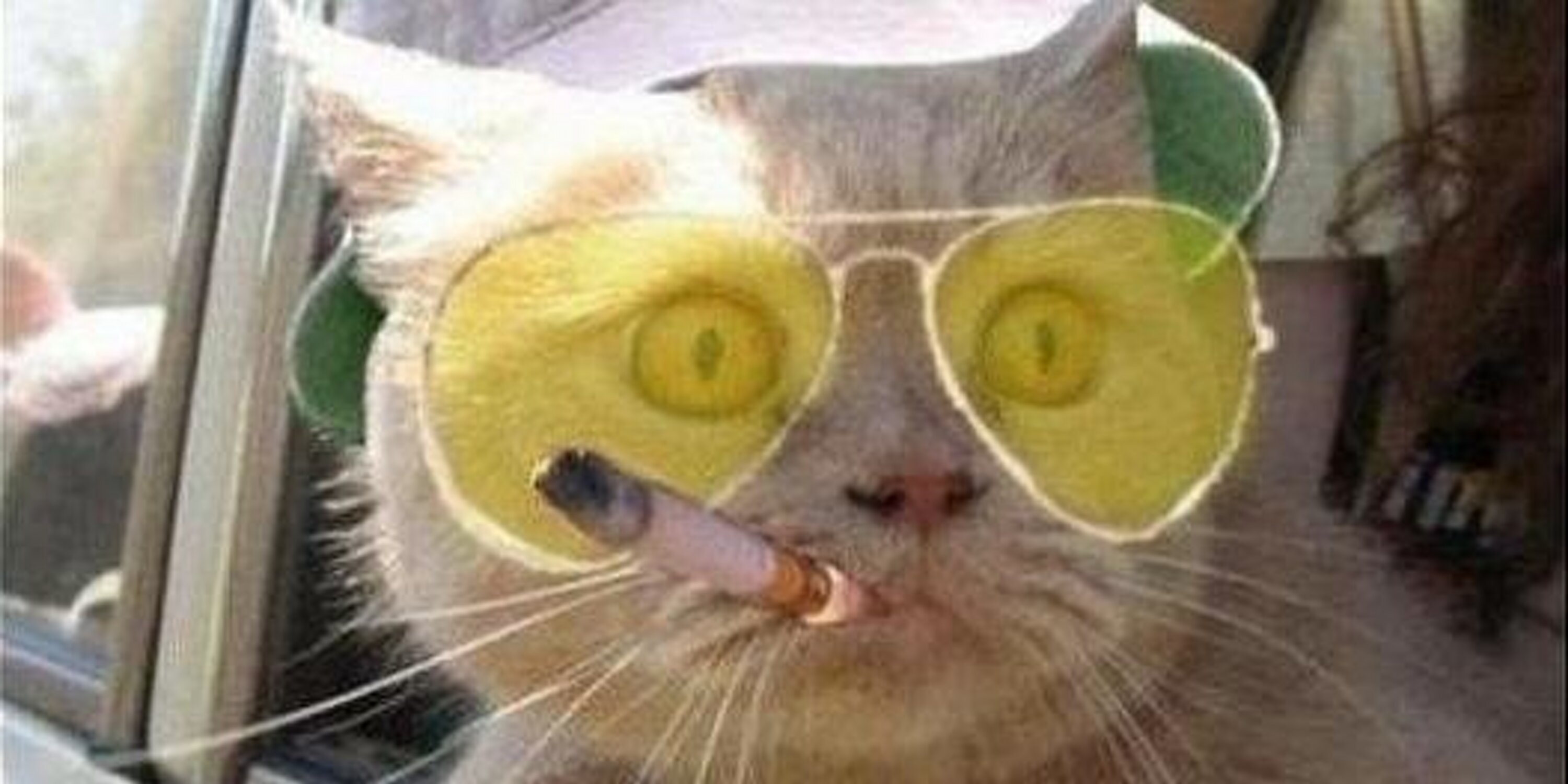 Кубанский 47 карантин banner