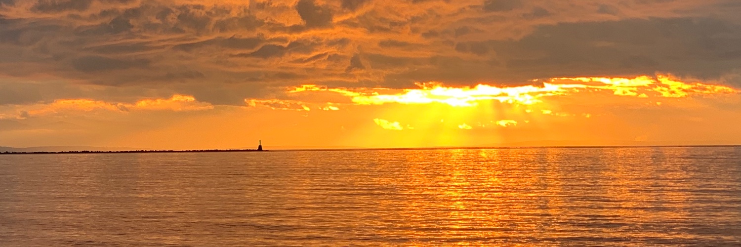 Davide⚡️🐿️ banner