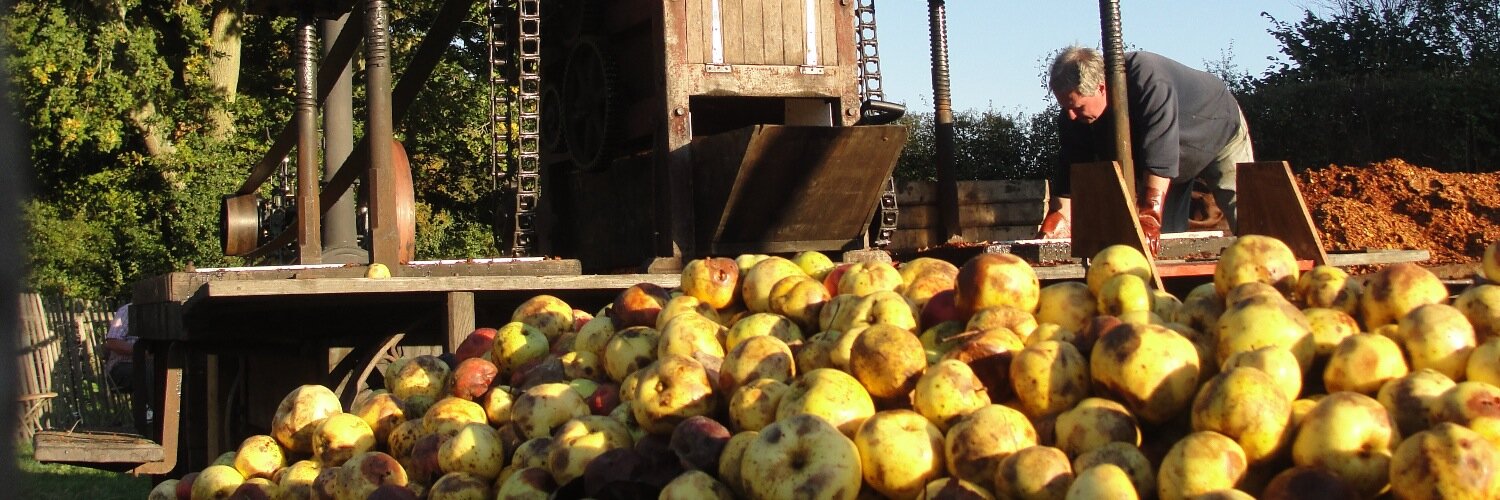 NewForestCider's profile banner image
