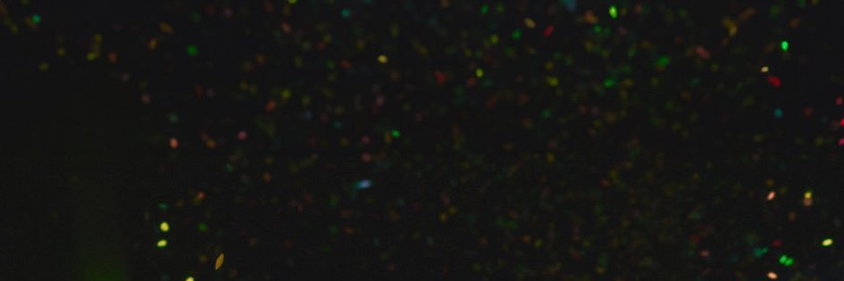 스위트피. banner