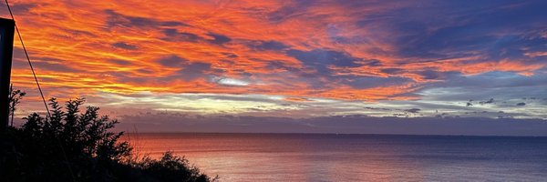 CandyTerryRose Profile Banner