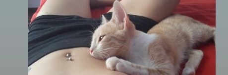 Maggie_P7's profile banner image