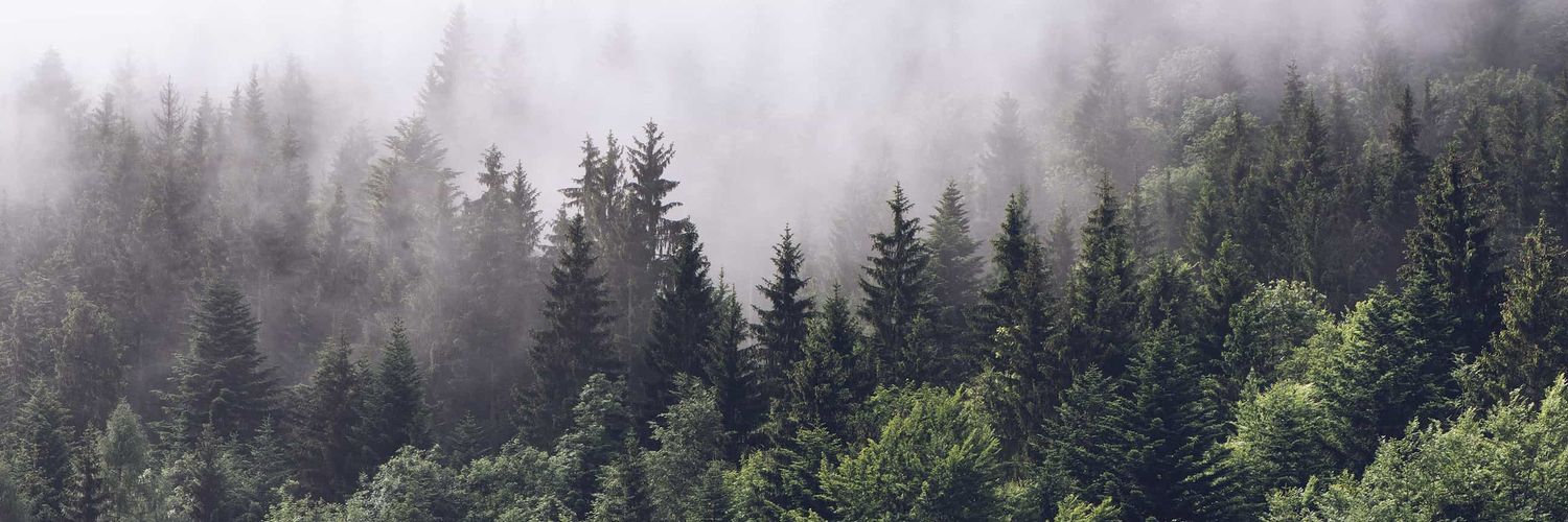 AlexGaskins's profile banner image