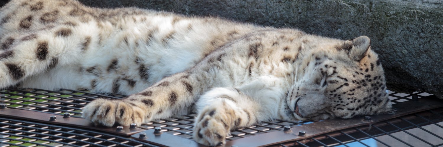 卯月ヴァン banner