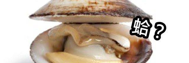 三高份子😎台灣建國😎K老頭 banner