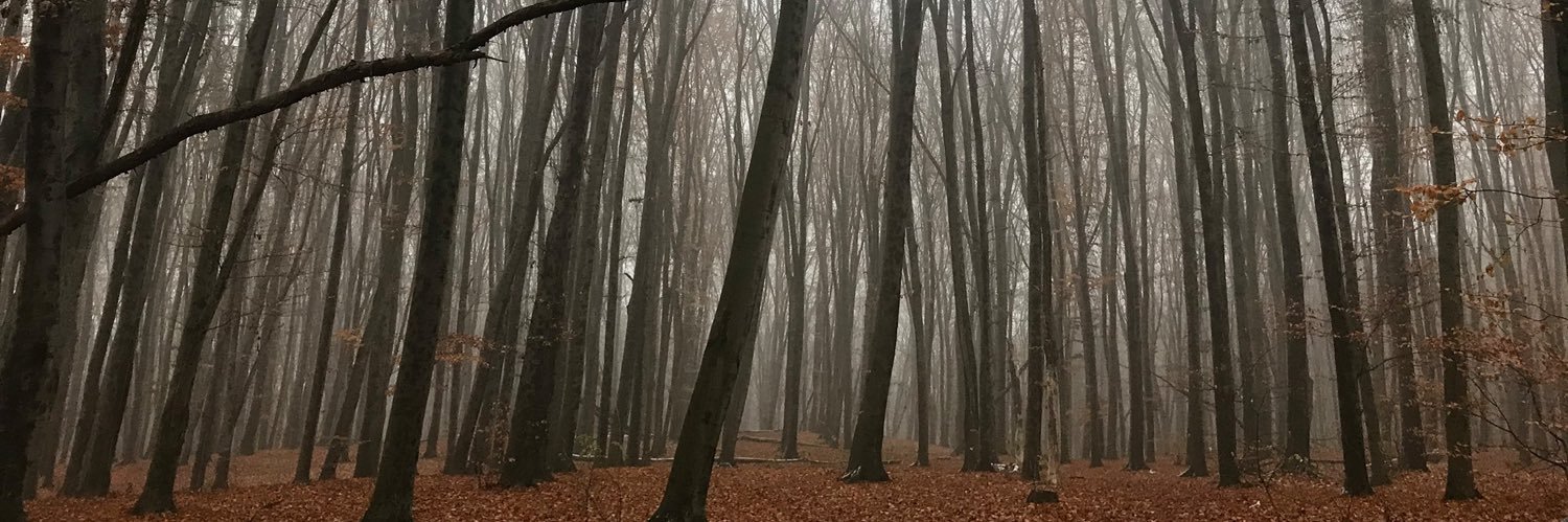 адміністративна відповідальність banner