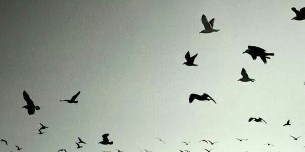 __aec's profile banner image