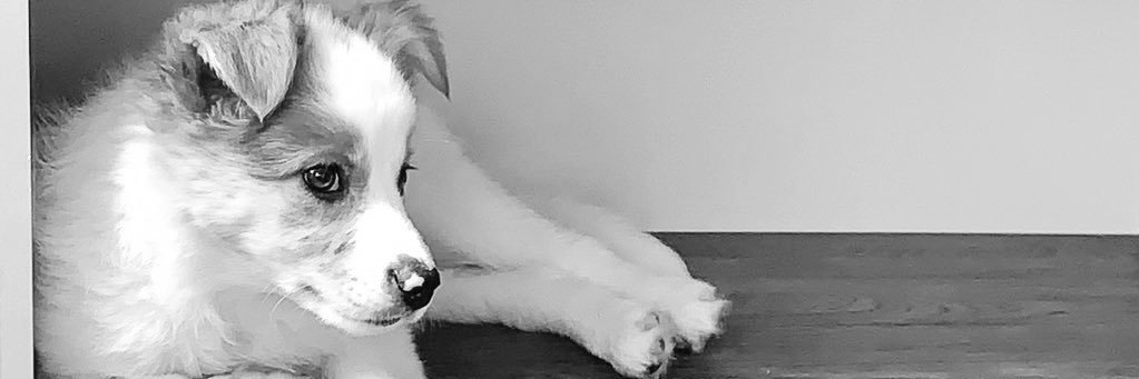 MirtaCosse's profile banner image