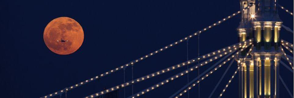 Sarah Stewart banner