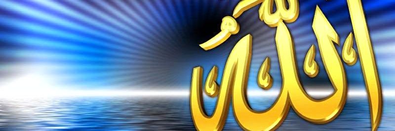 bsalem417's profile banner image