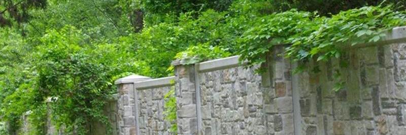 Romancing Medieval banner