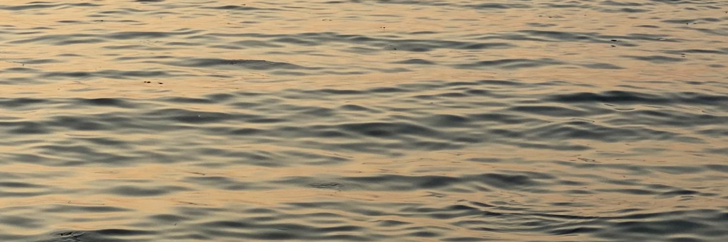 fforearn's profile banner image