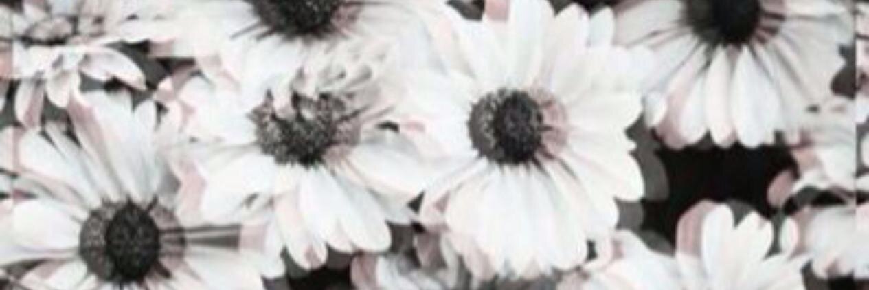 Celmene_'s profile banner image