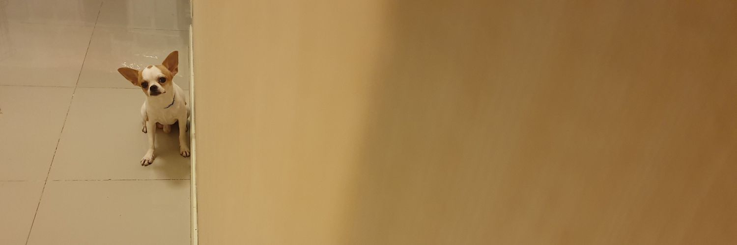 wellkinn🌻 banner