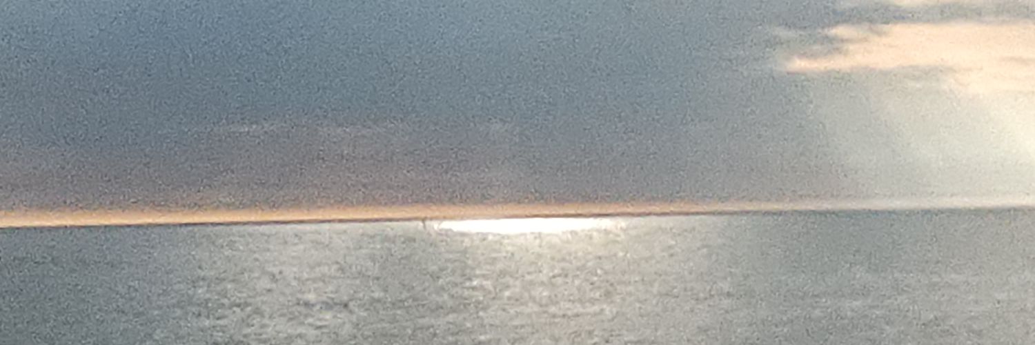 vcfvcs's profile banner image