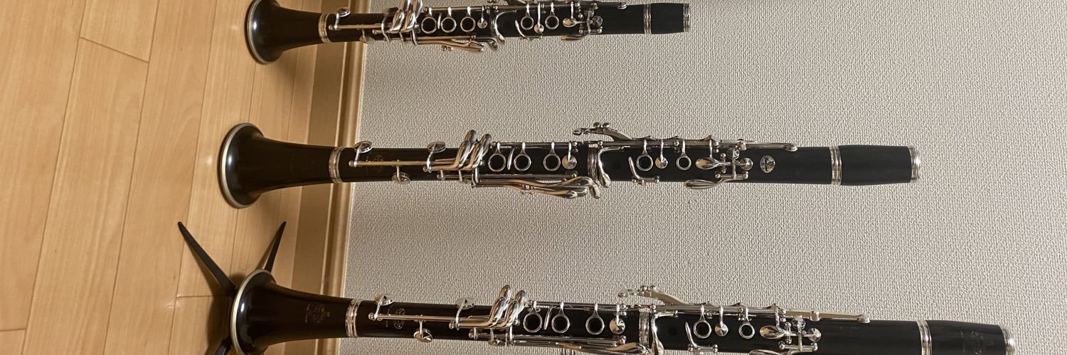 clarinetinari's profile banner image