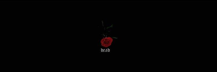 selgzt's profile banner image