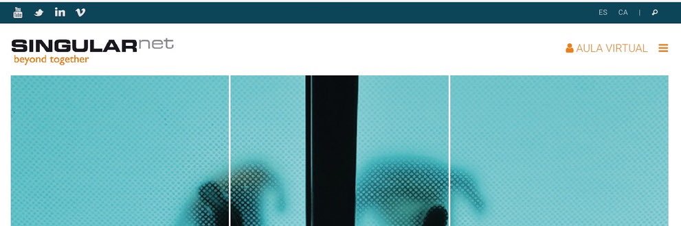 SingularNet banner