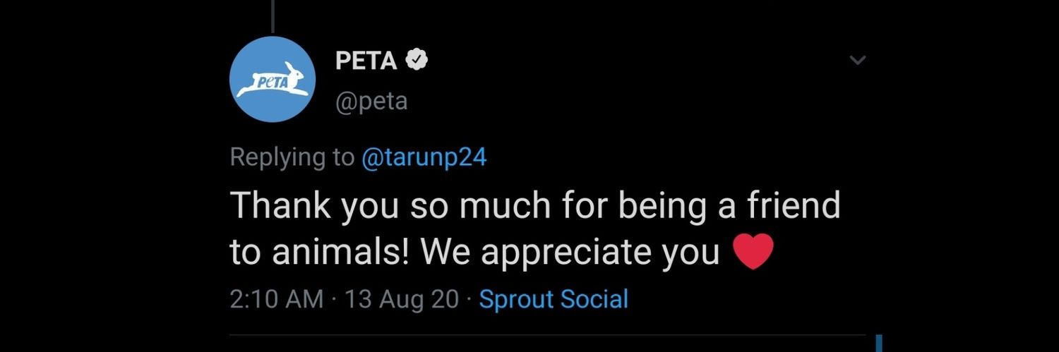 tarunp24's profile banner image