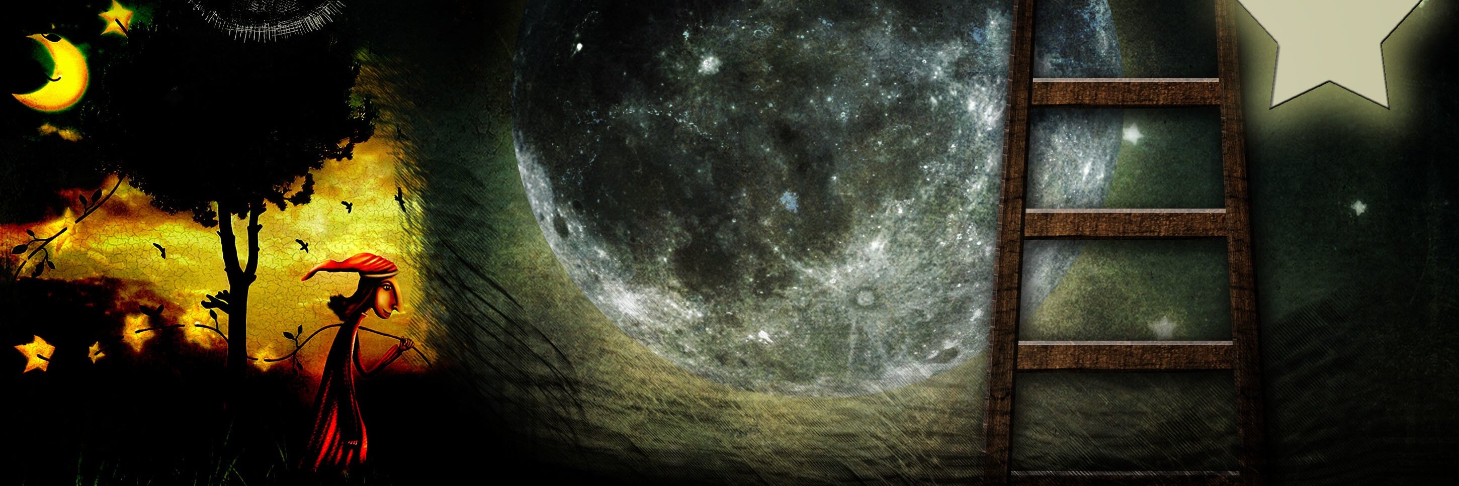 semacoii's profile banner image