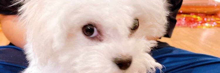 azrawrrr's profile banner image
