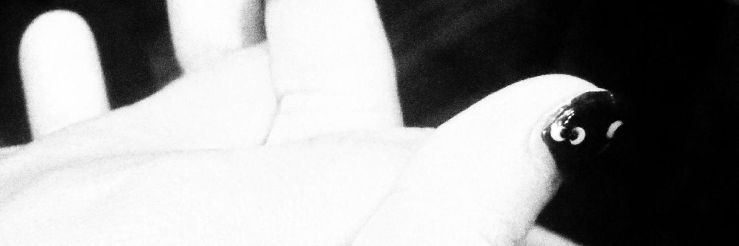 LikeNooneUKnow's profile banner image