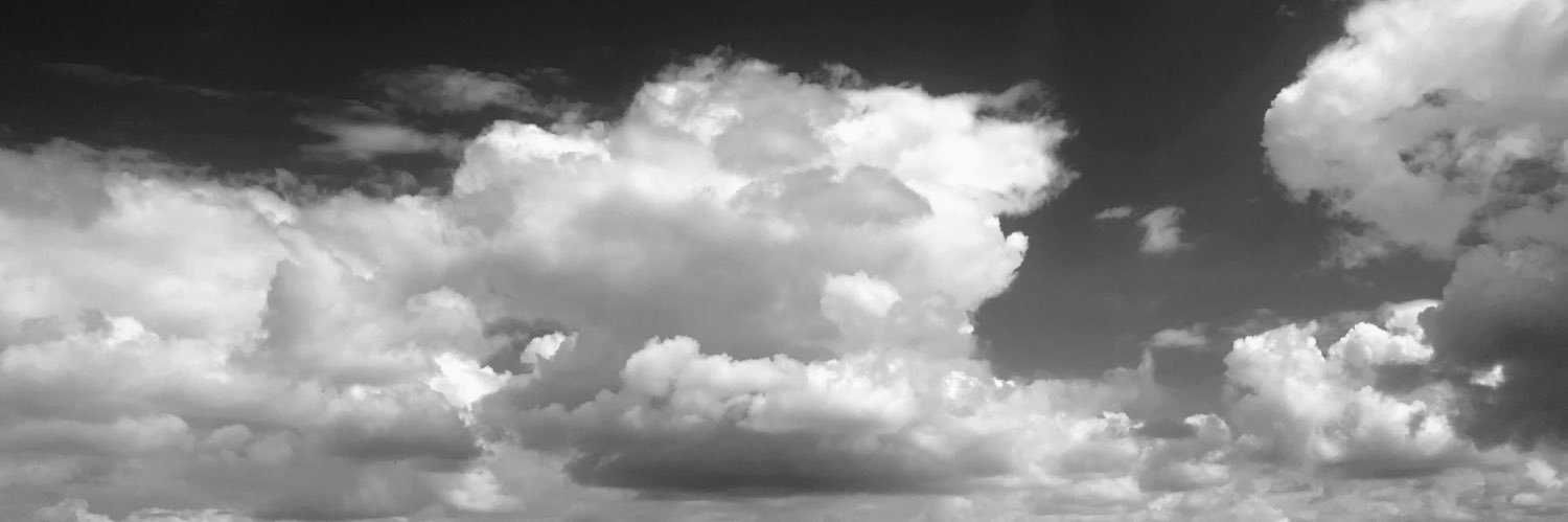 Michael Howard banner