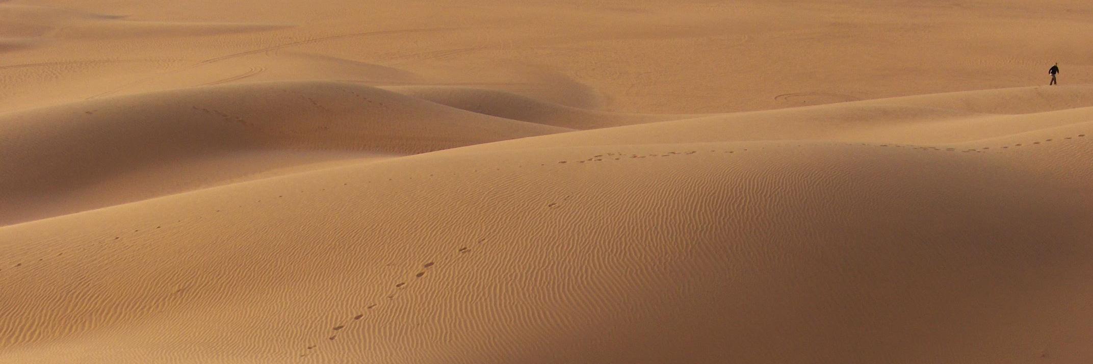 randrafels's profile banner image