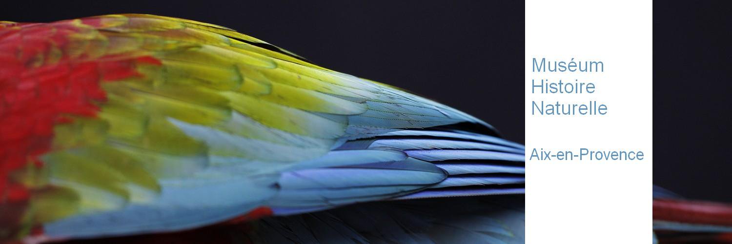 MuseumdAix's profile banner image