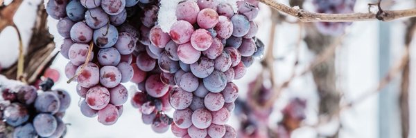 whitmorewhite Profile Banner