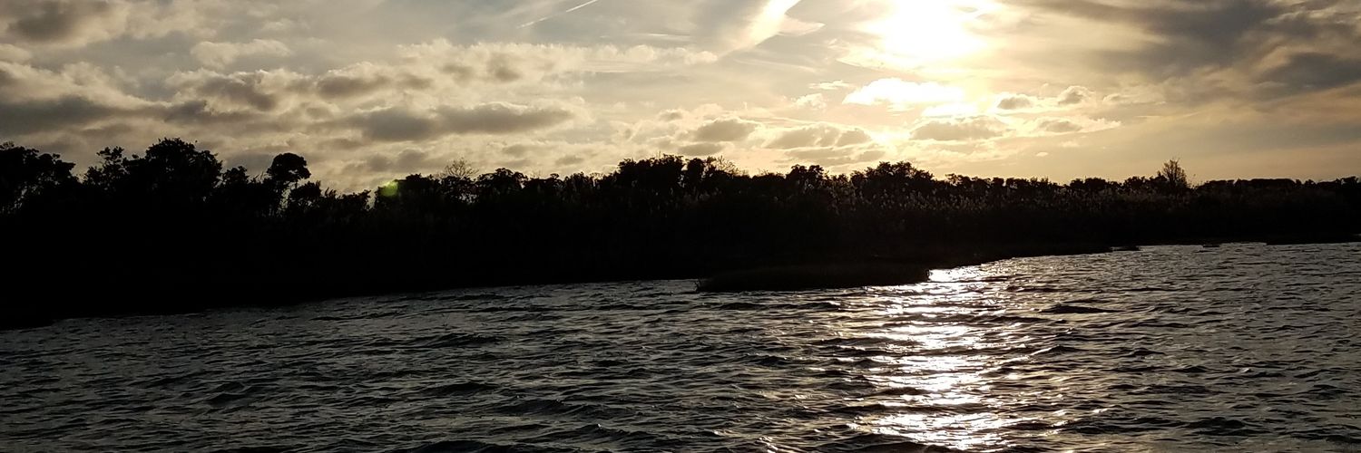 JaxStoccatto's profile banner image