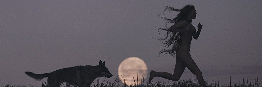 gomessbre's profile banner image