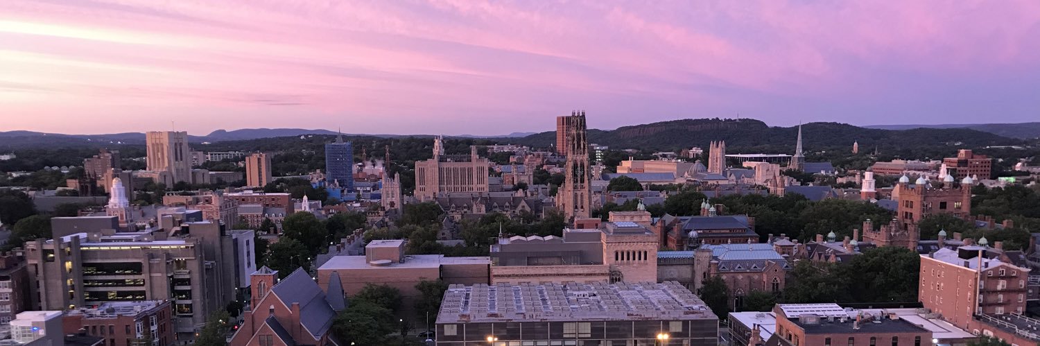 Lucy Beecroft banner