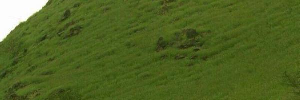 ww111a Profile Banner