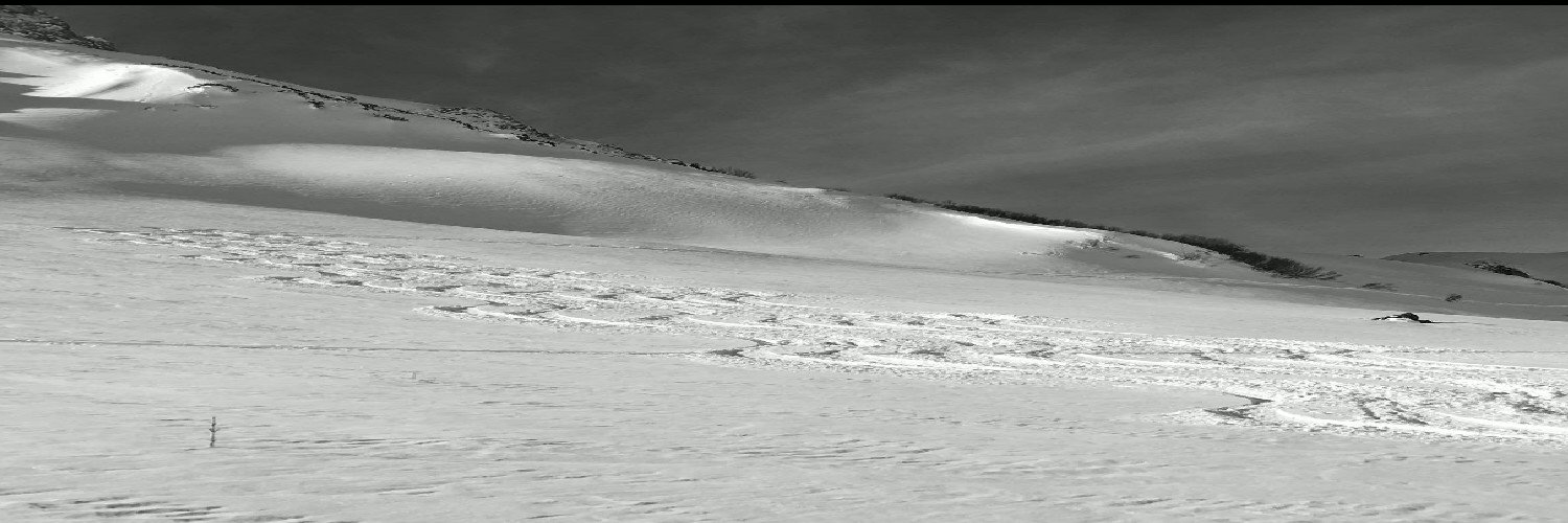Moesilla's profile banner image