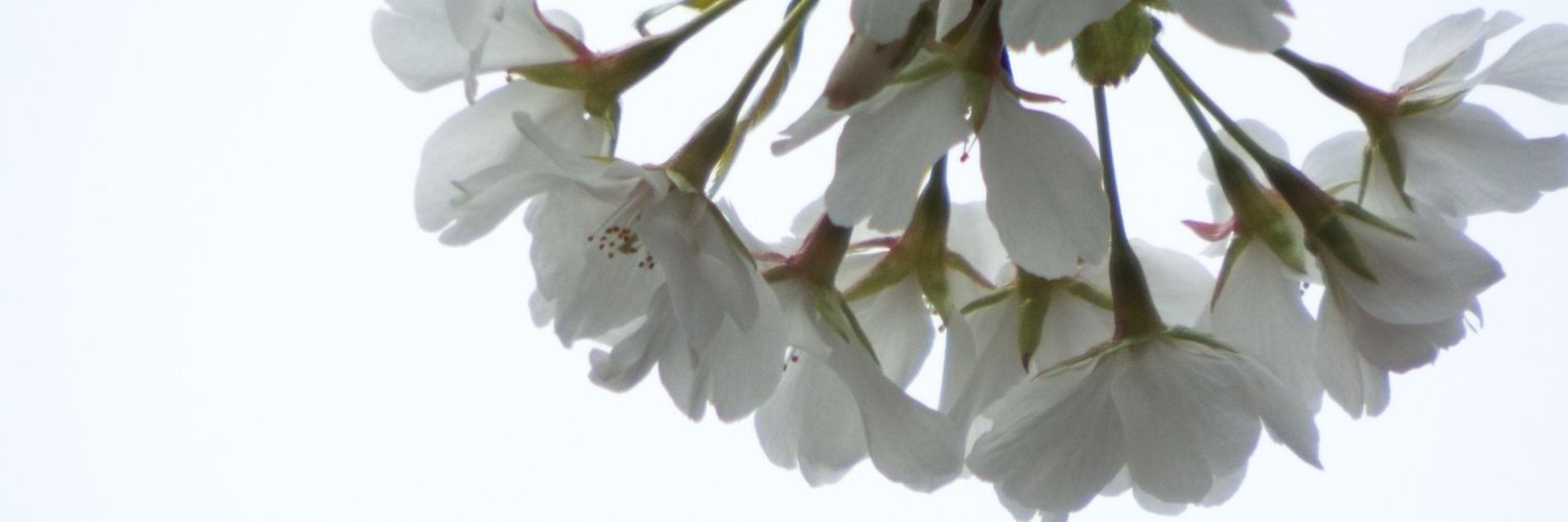 raikatu08's profile banner image