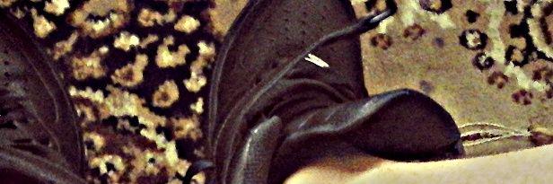 Swanky_SA's profile banner image