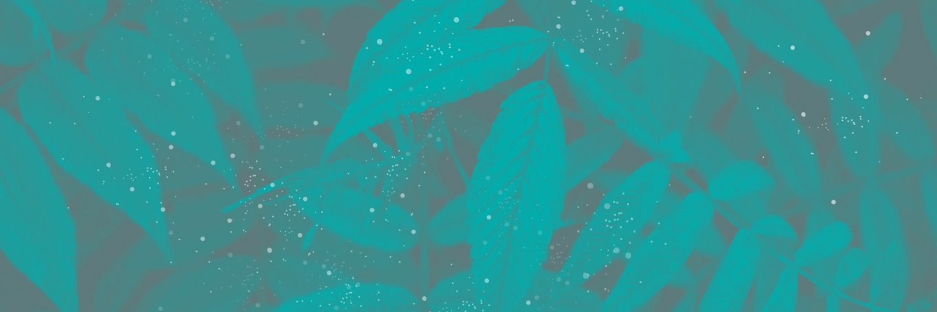 spacedoutsprout's profile banner image