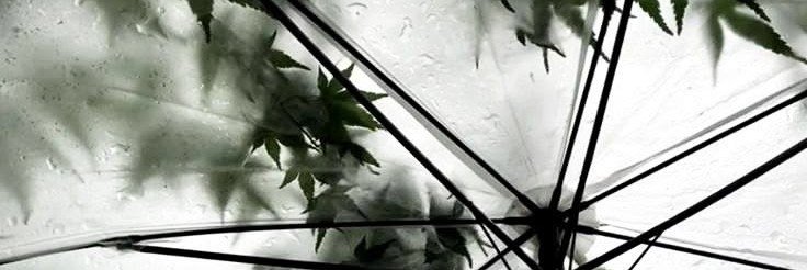 KerjoDialyn's profile banner image