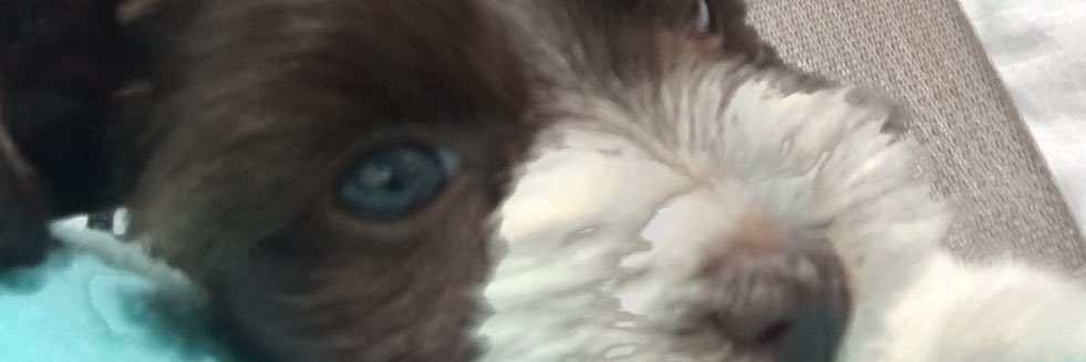 NurseVB's profile banner image