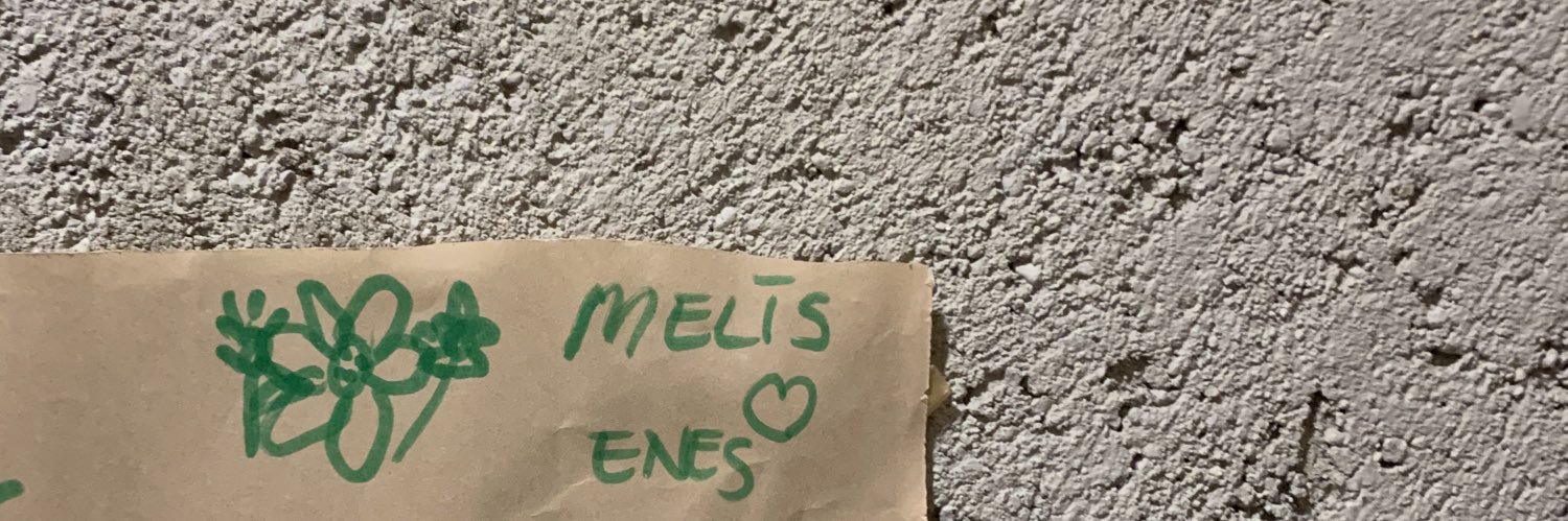 melisturer's profile banner image