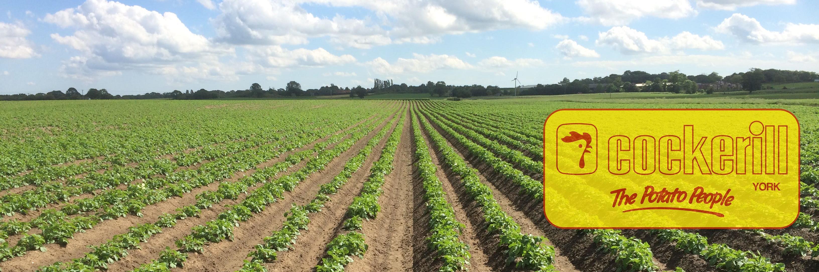 R S Cockerill banner