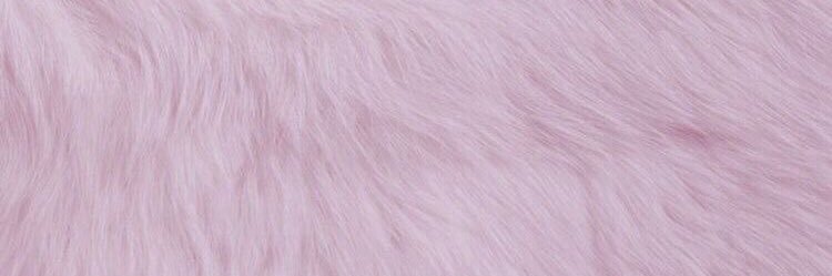 iamgiselenunes's profile banner image