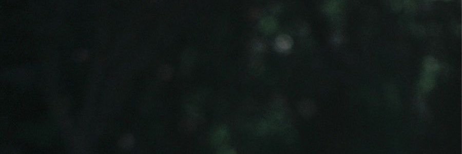 whcuran's profile banner image