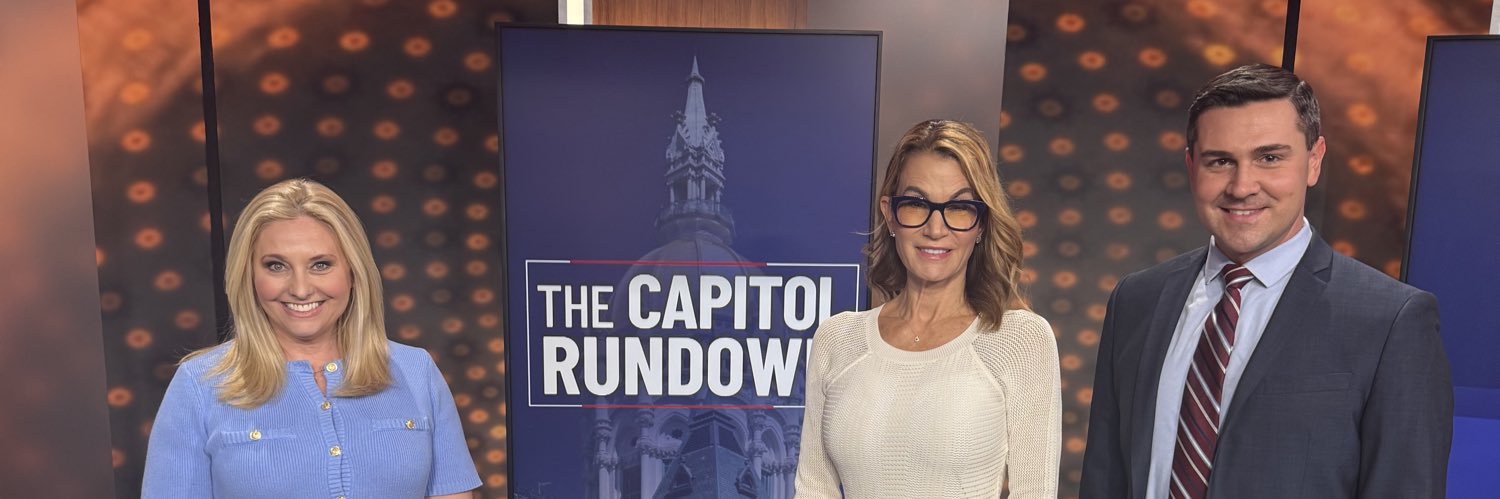 Themis Klarides banner